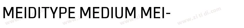 MEIDITYPE MEDIUM MEI字体转换